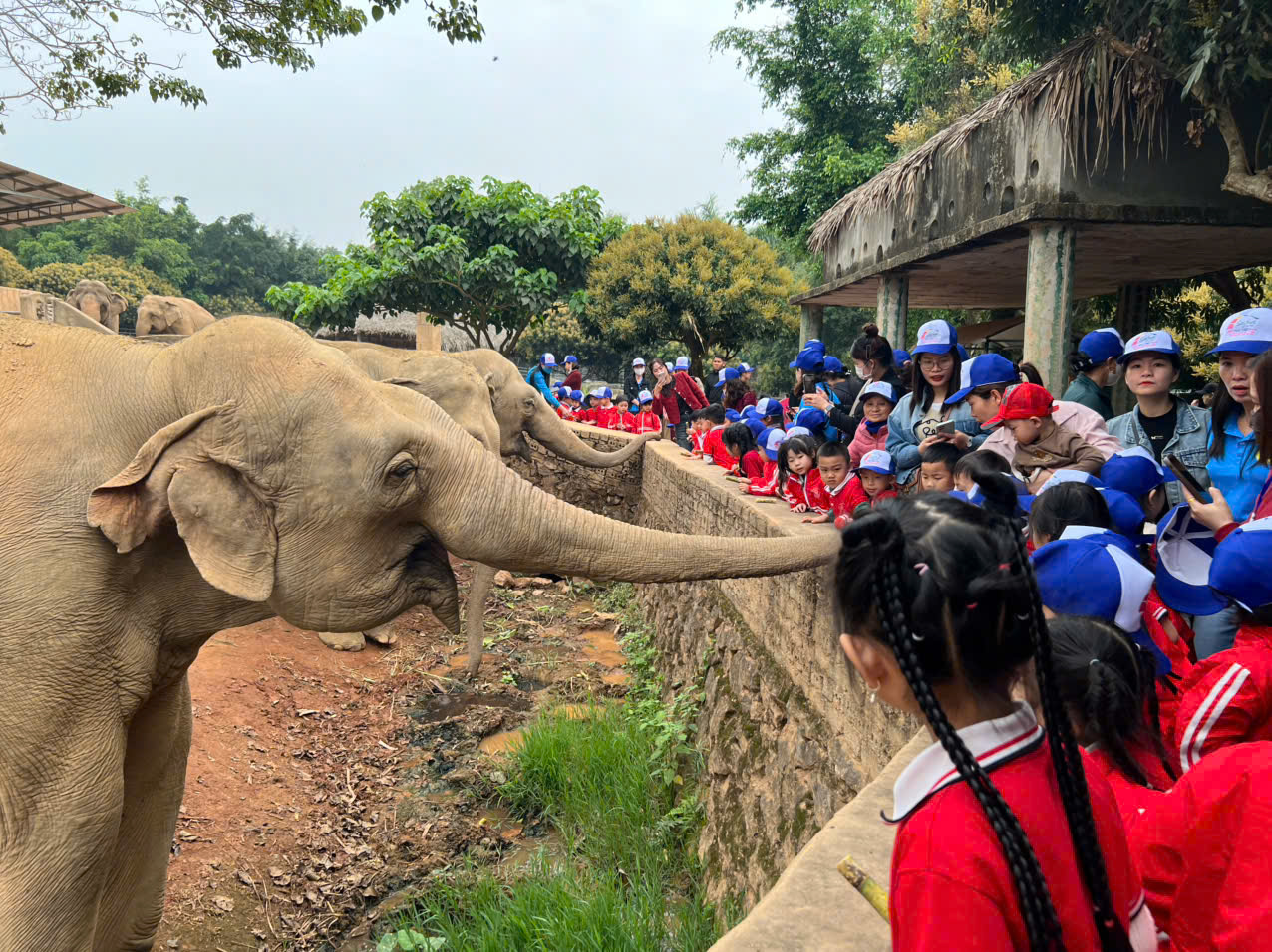 Vào thăm vườn thú